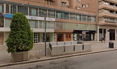 Protege K9 | Adiestradores de perros en Alicante
