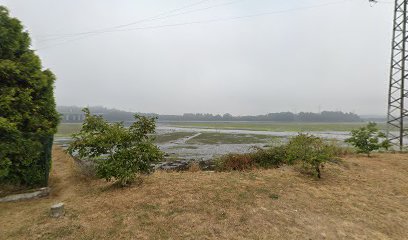 viladonelle | Guardería para perros en Neda