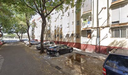 Un Perro Es Educado | Adiestradores de perros en Sevilla