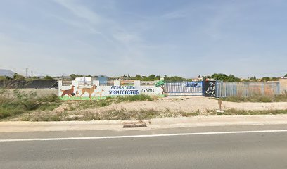 Unidad Canina Arikel | Adiestradores de perros en Alicante