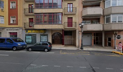 harpocan labradores | Guardería para perros en Plasencia