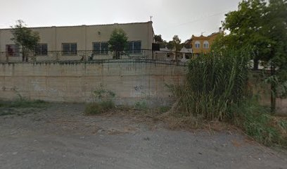 Cortijo del Mar Chows | Guardería para perros en Rincon de la Victoria