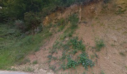 Probak | Guardería para perros en Erreka