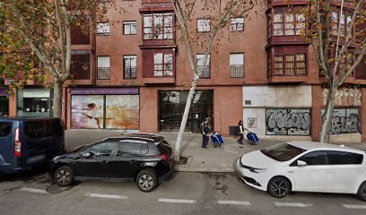 Dogtor | Adiestradores de perros en Madrid