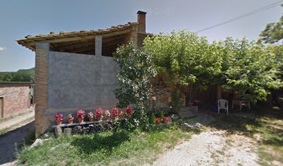 Coll-Verd | Guardería para perros en Girona