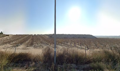 La Mirilla Canina | Adiestradores de perros en Molina de Segura