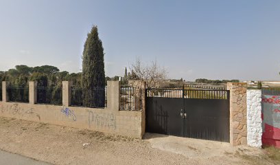 Tandem | Adiestradores de perros en Albacete