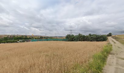 Casten | Guardería para perros en Mostoles