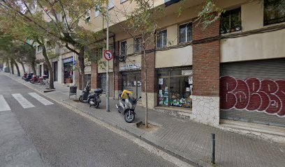 Cats & Dogs | Peluqueria para perros en Barcelona