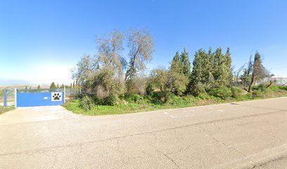 Mismascotas | Guardería para perros en Olias del Rey