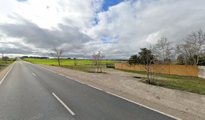 DASCAN | Adiestradores de perros en La Mata