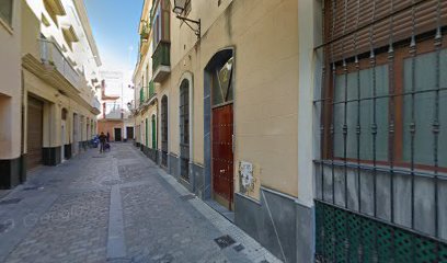 Socialcan | Adiestradores de perros en Cadiz