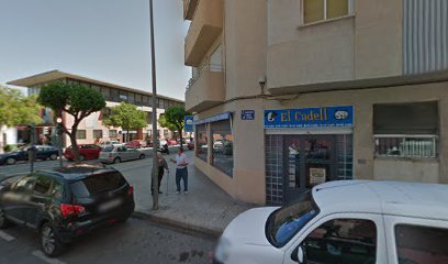 Mi Guau Guau | Adiestradores de perros en Xativa