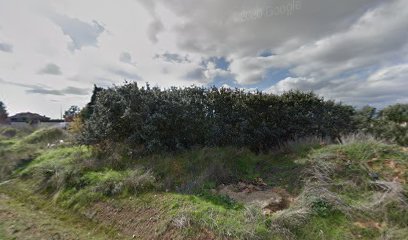 Solcan | Adiestradores de perros en Villadangos