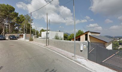 Fox Terrier Wire | Peluqueria para perros en Corbera de Llobregat