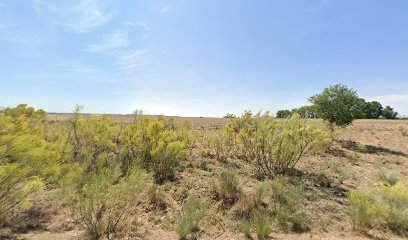 PERRILAND | Adiestradores de perros en Valdetorres de Jarama