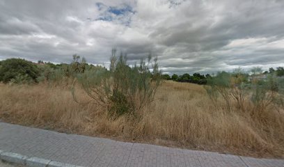 Syr K9 | Adiestradores de perros en Valdemorillo