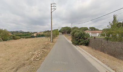 El Folti | Guardería para perros en Barcelona