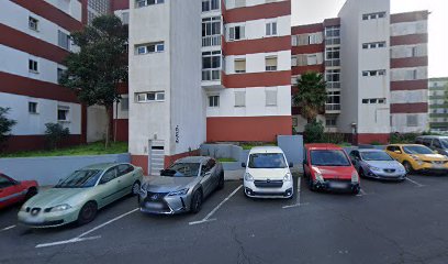 CanCanarias | Adiestradores de perros en La Laguna
