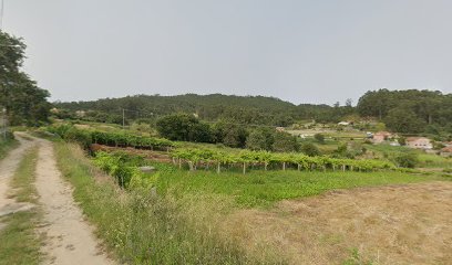 Diaiko | Adiestradores de perros en Pontevedra