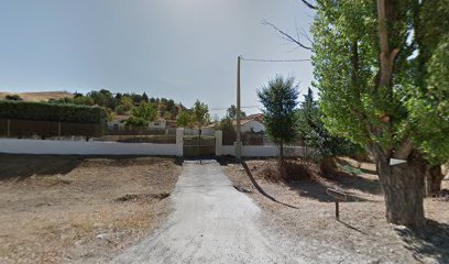 Mis Mascotas Servicios Caseros | Guardería para perros en Madrid