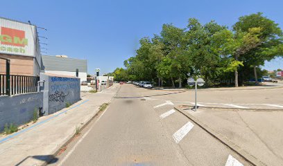 Ayza | Peluqueria para perros en Vilanova i la Geltrú