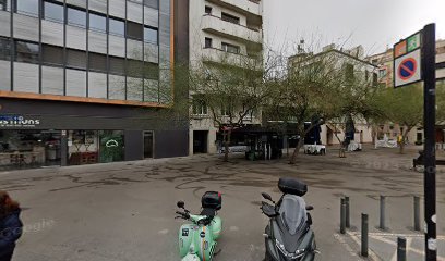 Va de Perros | Plaza Molina | Adiestradores de perros en Barcelona