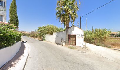 Raws Paws | Adiestradores de perros en San Martin del Tesorillo