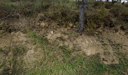 Residencia para mascotas | Guardería para perros en Elgoibar