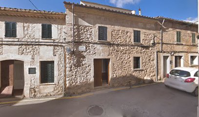 Pointers du Puig | Adiestradores de perros en Pollenca
