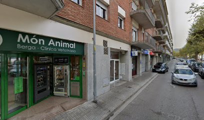 Peluts | Peluqueria para perros en Berga