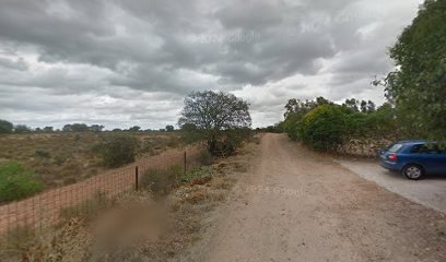 Las Nubes | Guardería para perros en Badajoz