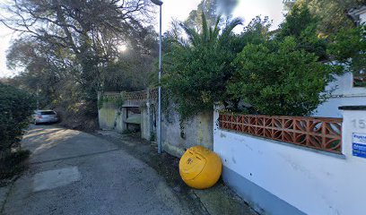 Guauguau Llar | Guardería para perros en Barcelona