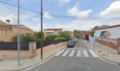 EL REY DE LA CASA | Guardería para perros en Sant Juan Despí