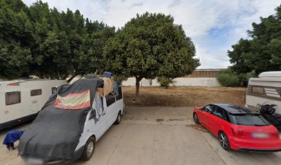 Miwi | Adiestradores de perros en Málaga