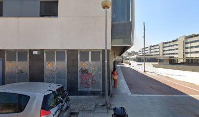 Z-Kan | Adiestradores de perros en Viladecans