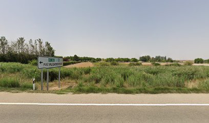 De Gamata | Guardería para perros en Fuentespina