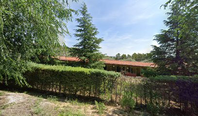 Termes | Guardería para perros en Chinchón