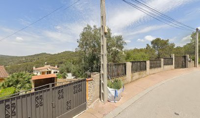 Leo & Friends | Guardería para perros en Olivella