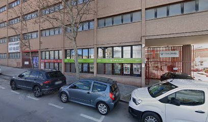 Pipa Warrior | Adiestradores de perros en Madrid
